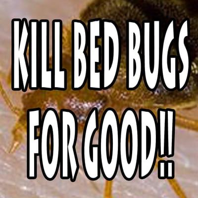 Kill Bed Bugs For Good!!