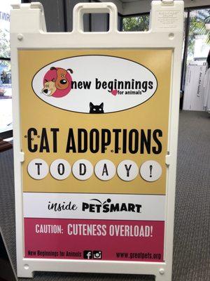 24 x 36 A-Frame Sign for New Beginnings Per Adoption !