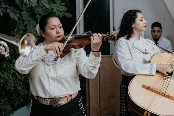 Mariachi Mexico en America