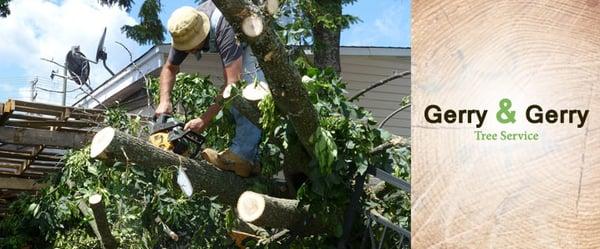 Emergency Tree Service