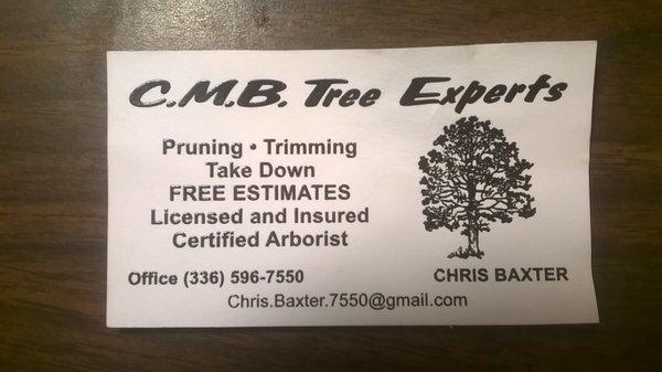 CMB Tree Expert