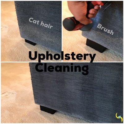 Upholstery Cleaning, this is for the car lovers. Cat hair along the side of the sofa. We had to use the upholstery brush to remove it.