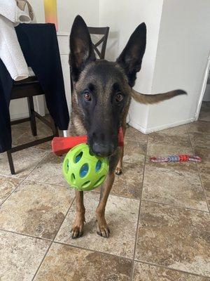 Happy and handsome after his groom!