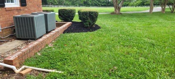 Mulch and cut grass