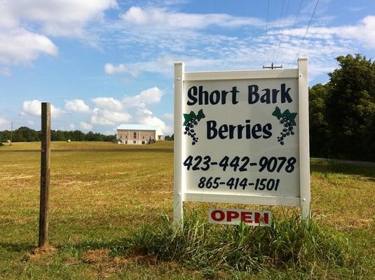 Short Bark Berries