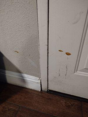 The door had some sticky stuff and dirt smeared out and clearly had not been cleaned lately