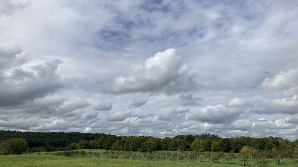 Rocky Ridge Orchard