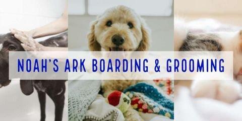 Noah's Ark Boarding & Grooming