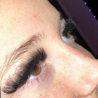 Dark Hybrid Lash Extensions