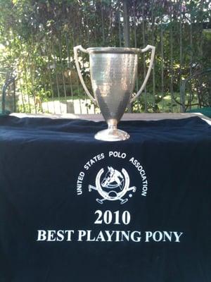 Governors Cup 2010