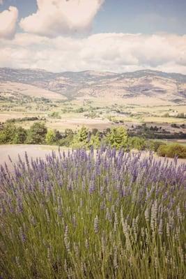 Great Views of Ashland's Natural Landscape