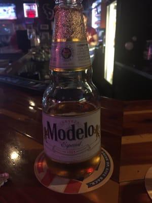 Love my Modelo!