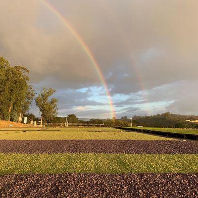 Greenheart Farms