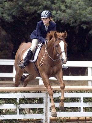 MHA Horse Show at Sequoia Arena (Photo NelsonPics.com)