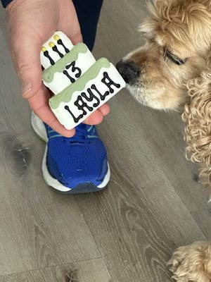 Canine birthday cookie