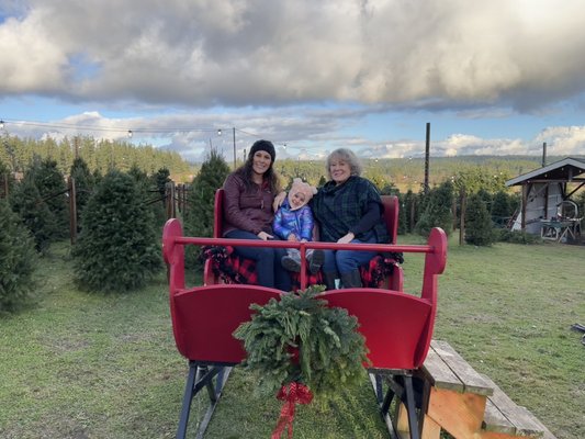 Family's can take photos on the sleigh!