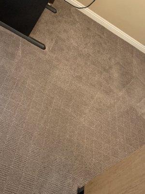 Trust Carpet & Tile Cleaning