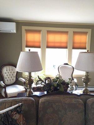 Hunter Douglas Architella Cell Shades in Color chestnut