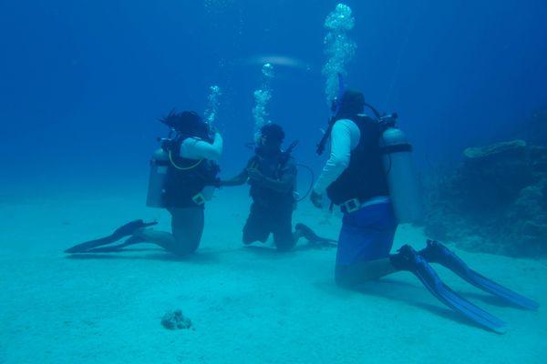 Bucket List: Open Water Certification. Sandals Negril