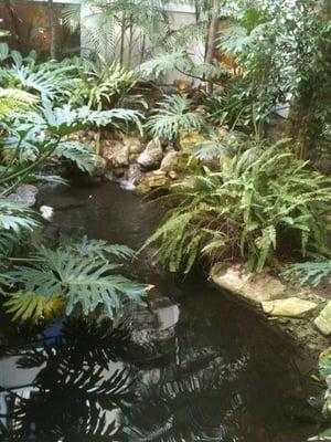 Lovely pond in the garden complex