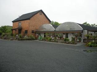 The Bloomin' Barn is a family owned business with over 25 years in operation housed in a two-story barn from circa 1850.