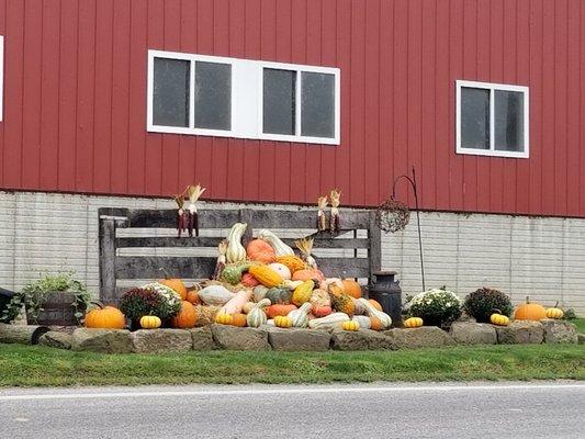 Fall decorations