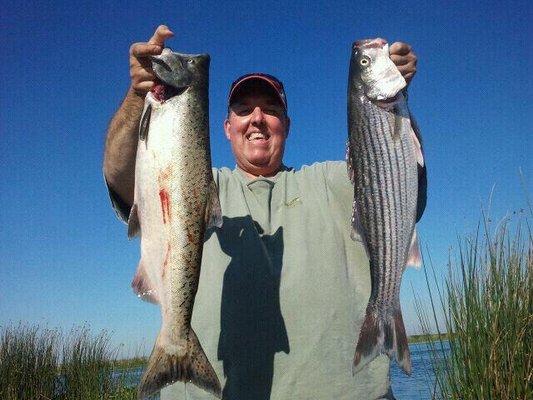 California Delta salmon and striper