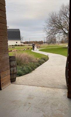 It's a long walk from where the reception area is barn in the foreground to the wedding Pavilion outdoors