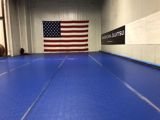 American Jujitsu