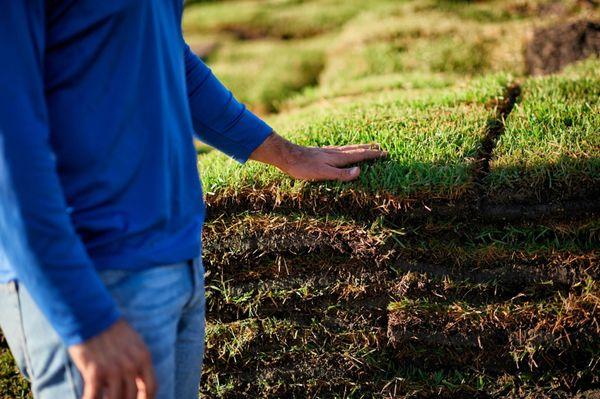 Bayside Sod Inc.