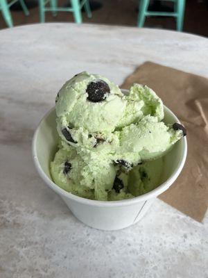 Mint Chip ice cream in the size small