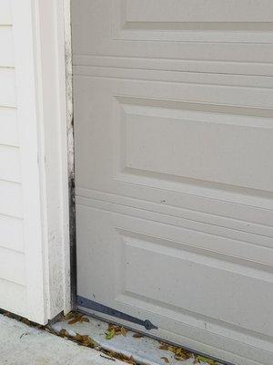 BEFORE - Black mold on the rubber garage door seal.