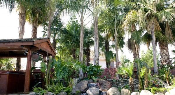 Tropical backyard design