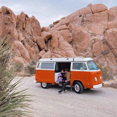 Joshua Tree Vintage VW Bus