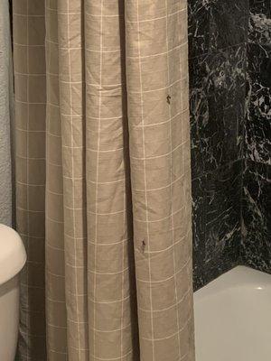 Nothing like flies while you shower or use the bathroom!