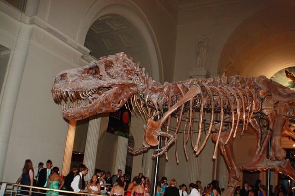 Field Museum, Chicago, IL