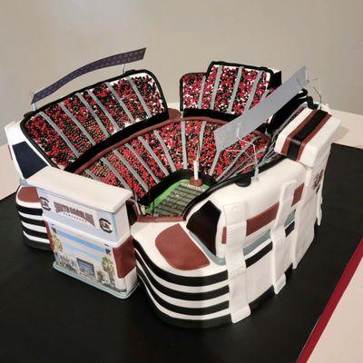 Williams Brice Stadium Cake