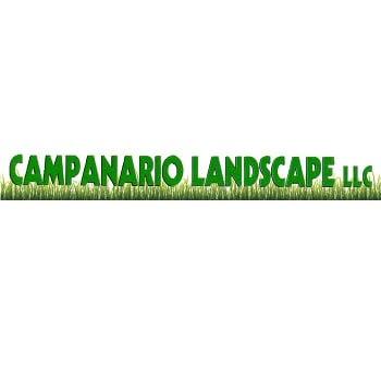 Campanario Landscape