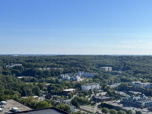 The view from the rooftop