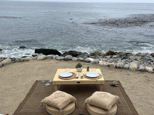 Picnic with dolphins