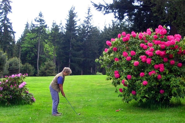 6th fairway