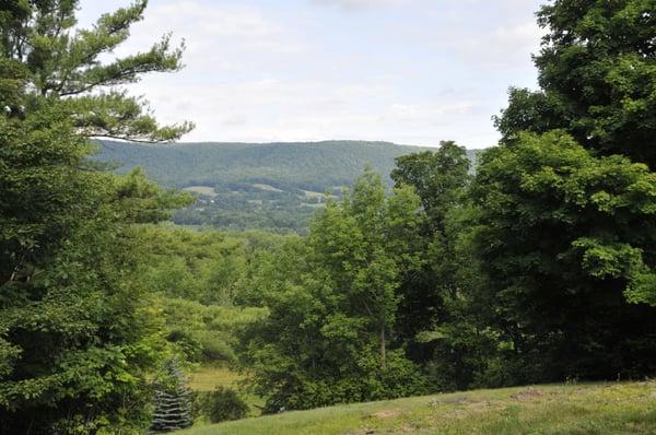 View from the front porch