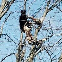 Lake County Tree Service