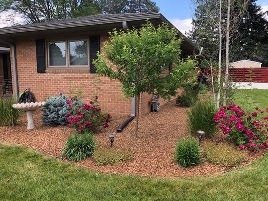 New mulch and edging