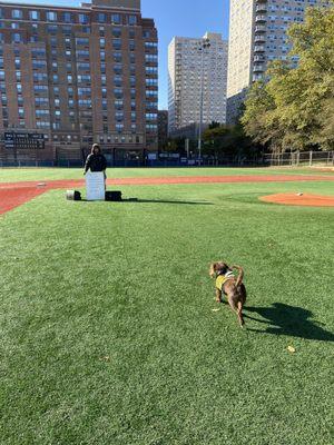 Halloween WOD at the park