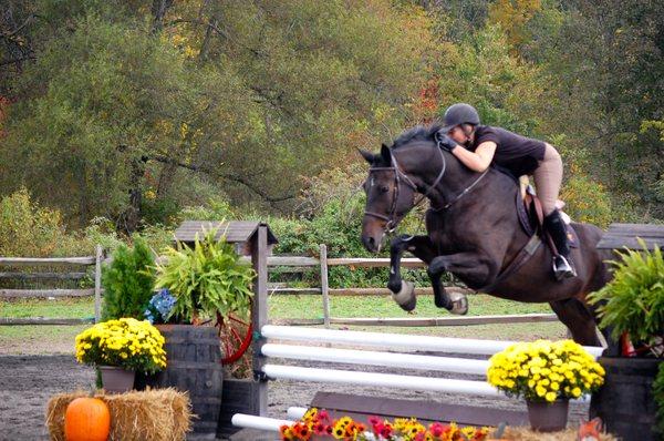 Riding Lessons, IEA Teams Middle School & High School~ Boarding ~ Summer Camp~  Horse Shows monthly~ INDOOR RING & 2 Outdoor Rings