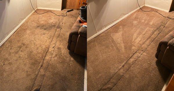 Carpet cleaning