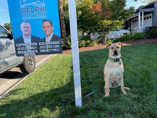 My pup Norman loves to pose next to our listings!!