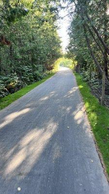 Tree lined trails feel nice