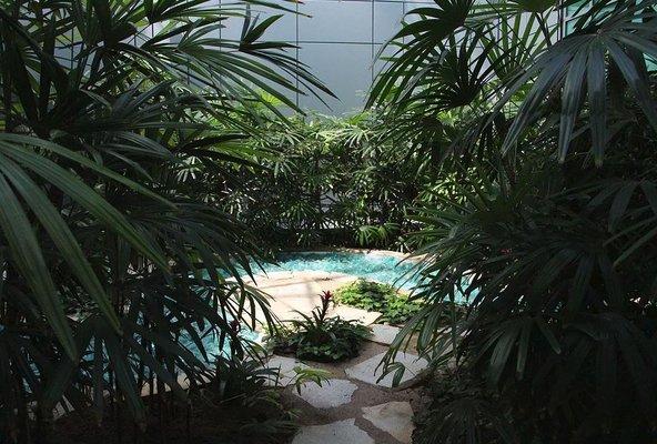 Interior Plantscapes- Design-Install-Maintain